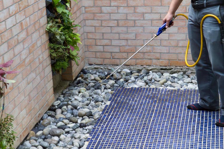 Service d'extermination de nuisibles Porto-Vecchio