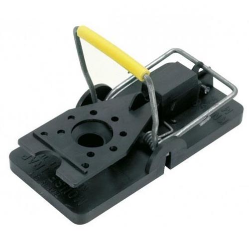 Dératisation Porto-Vecchio