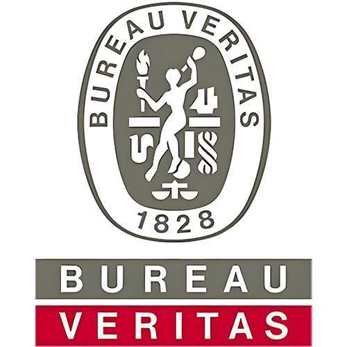 Logo Bureau Veritas