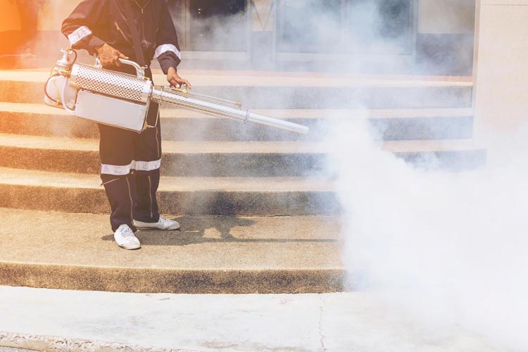 Dératisation Porto-Vecchio