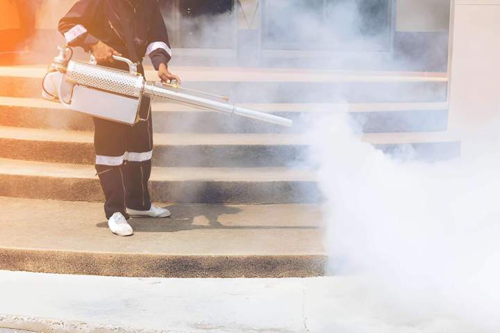 Service d'extermination de nuisibles Porto-Vecchio