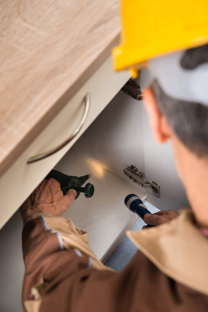 Traitement insectes nuisibles Porto-Vecchio