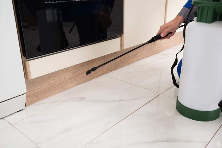 Traitement anti-nuisibles Porto-Vecchio